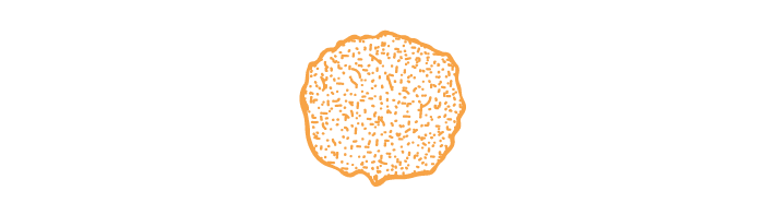 lipidic cubic phase icon