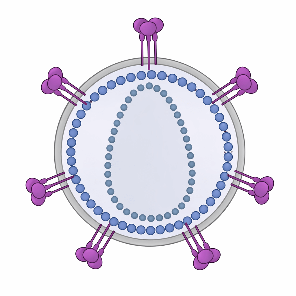 HIV Virus Like Particles