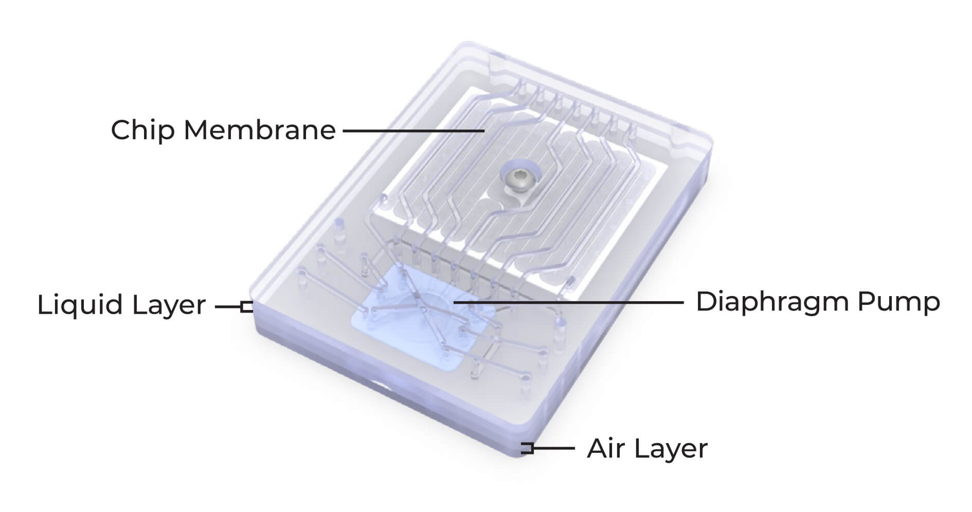 upulse chip (1)