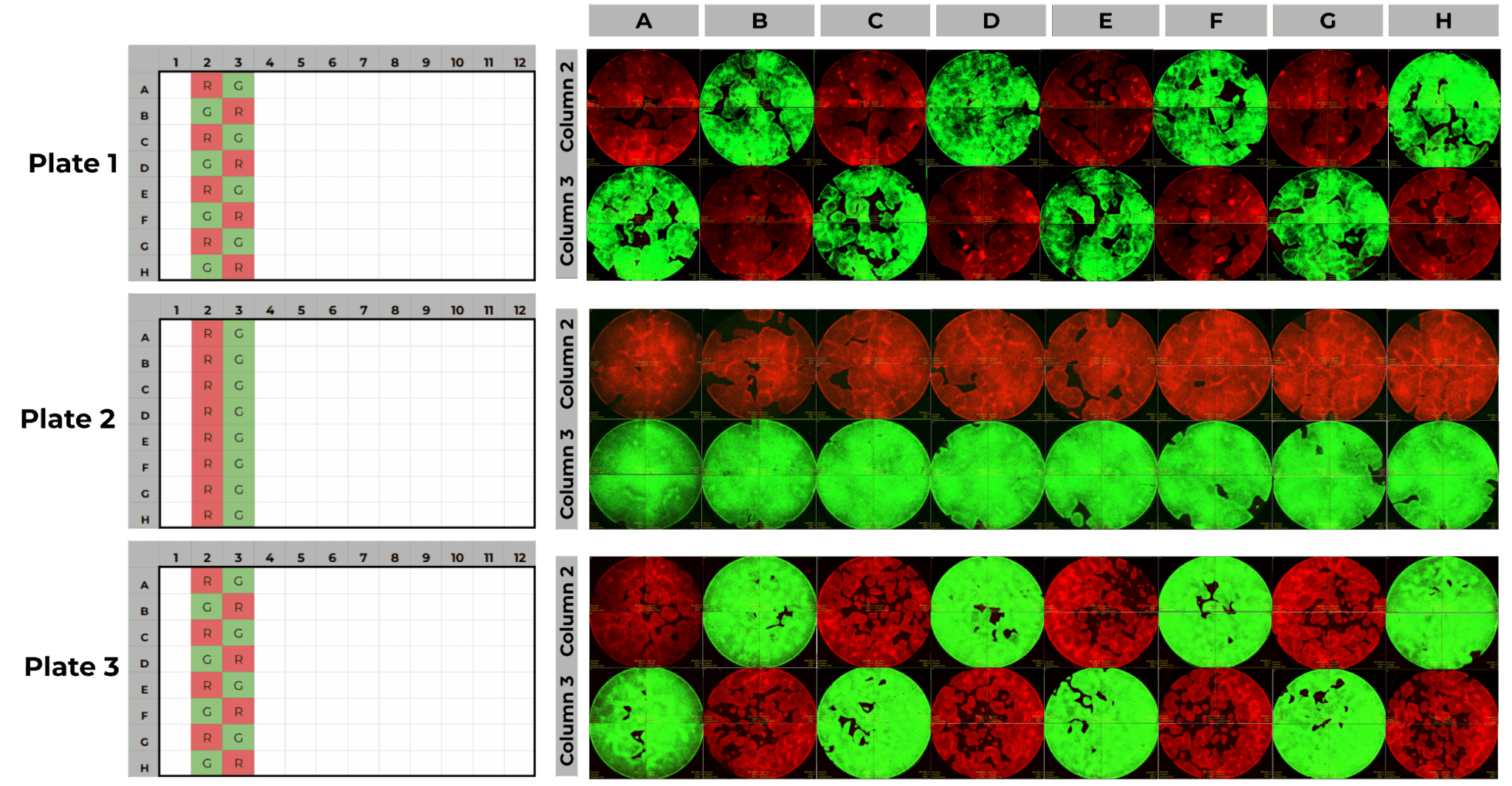 RX_CrossContamination