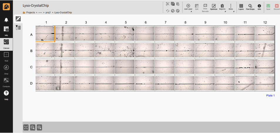 Rock Maker canvas showing images of microfluidic channels captured in integration with Rock Imager 360