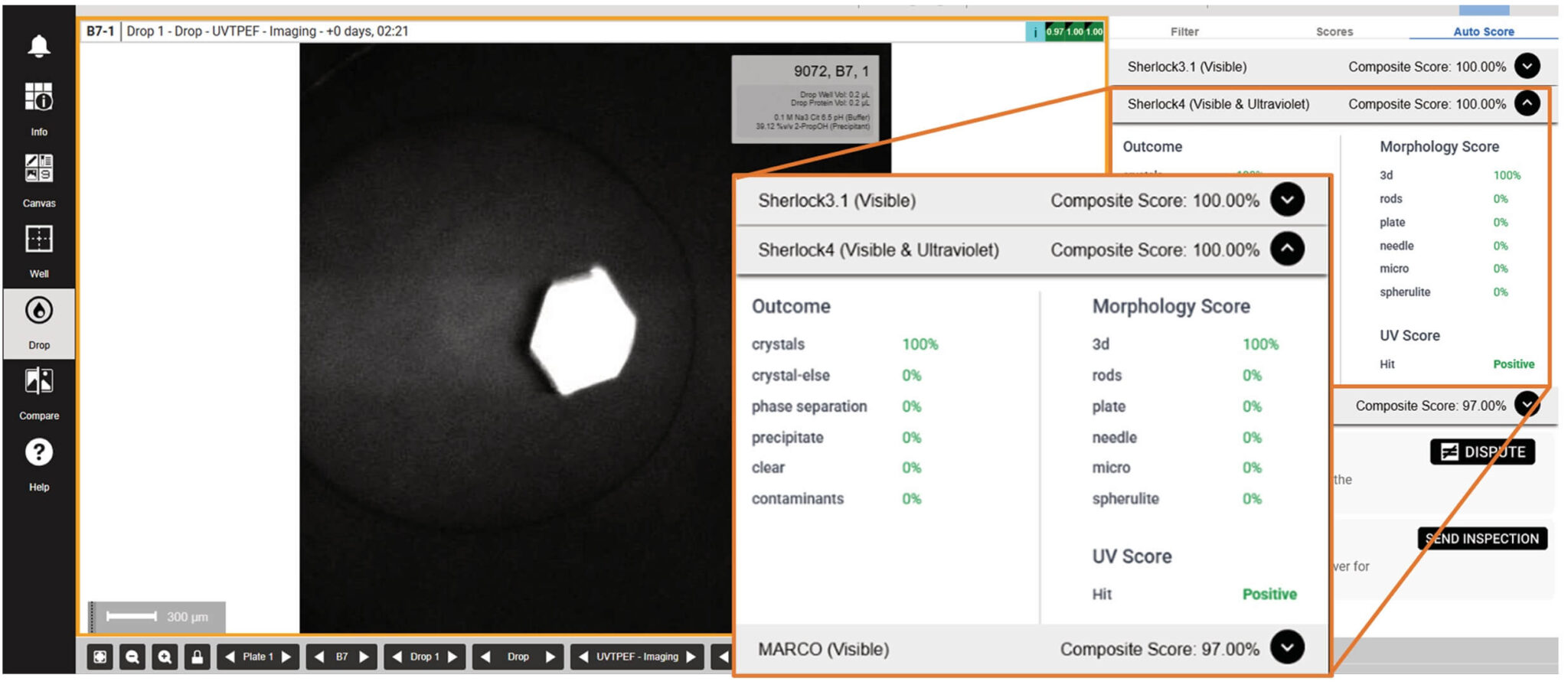 AI-Powered UV Image Autoscoring for Faster and Reliable Protein Crystal Identification